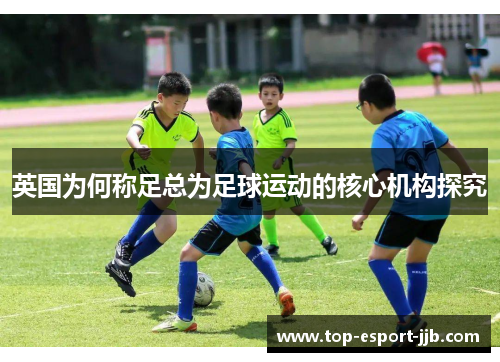 英国为何称足总为足球运动的核心机构探究